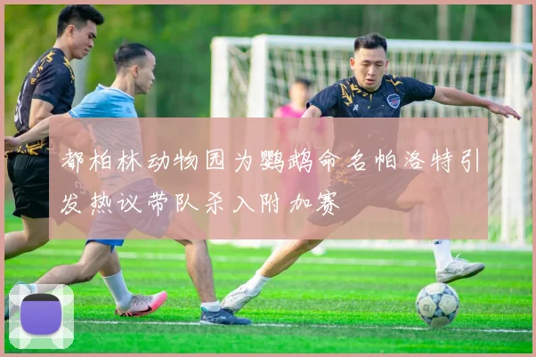 都柏林动物园为鹦鹉命名帕洛特引发热议带队杀入附加赛