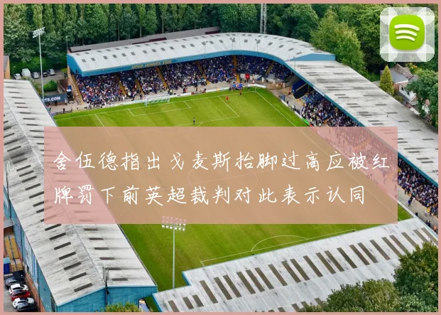 舍伍德指出戈麦斯抬脚过高应被红牌罚下前英超裁判对此表示认同