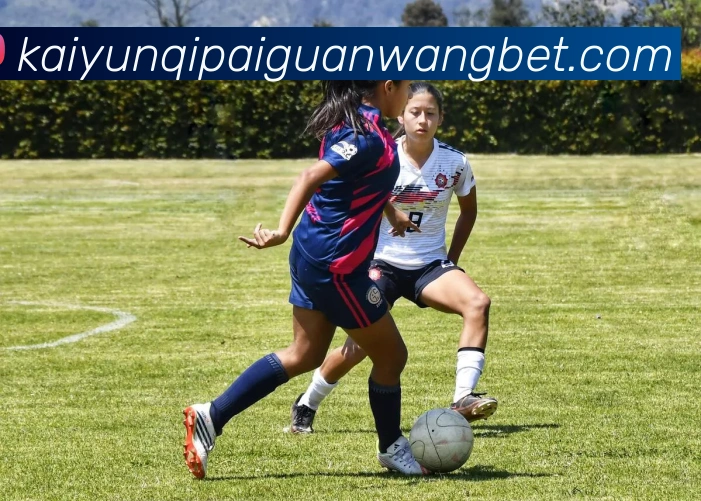 开云棋牌APP 封面图